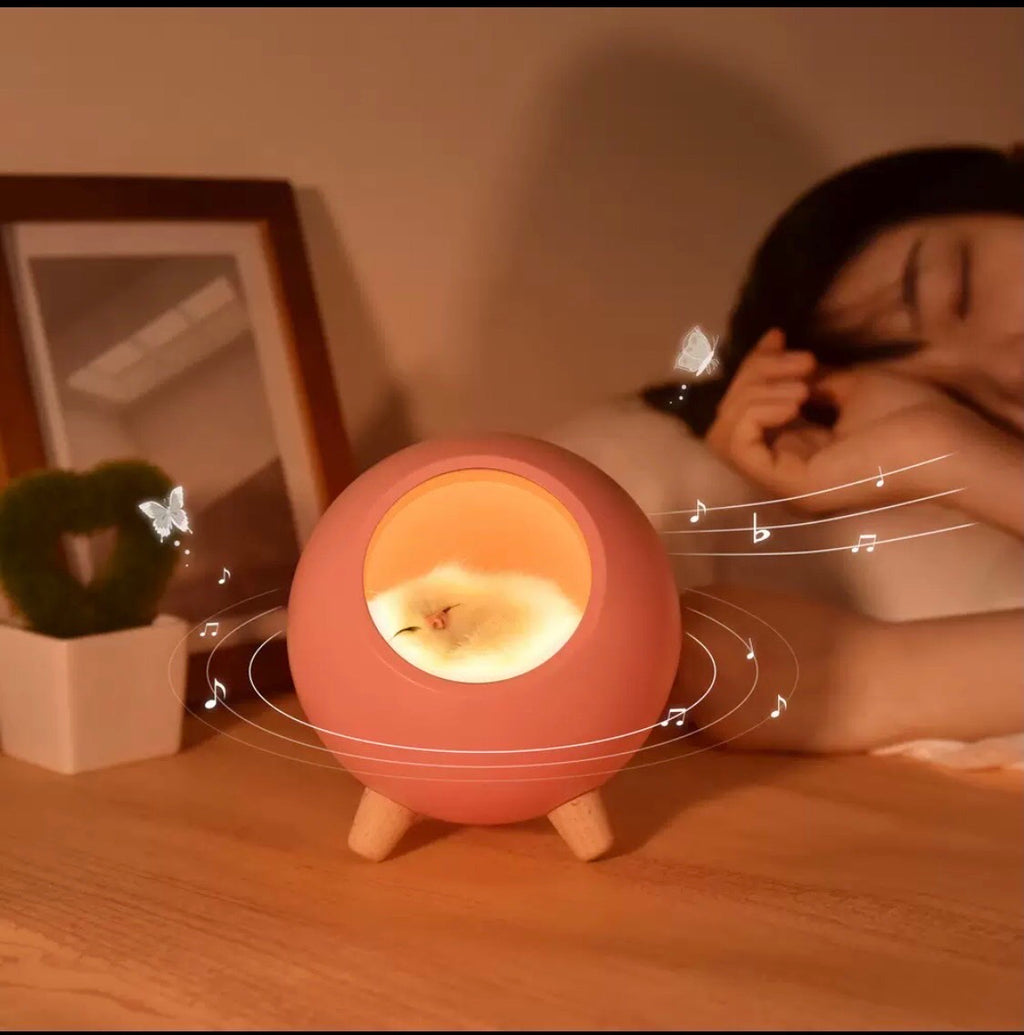 Cat House Lamp Bluetooth Speaker