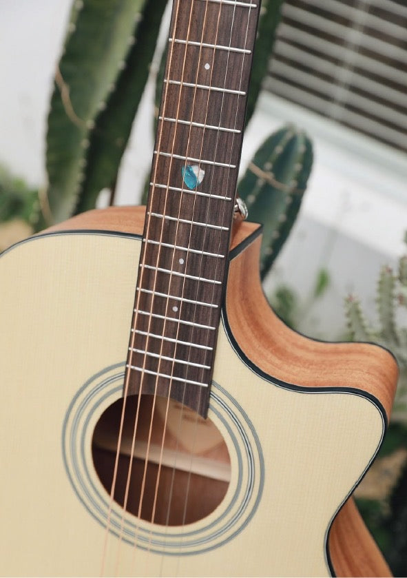 Acoustic Guitar - Randon RG-04C- with a Free Bag, Wood