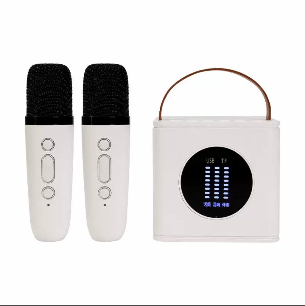 Dual-Speaker Microphone Speaker