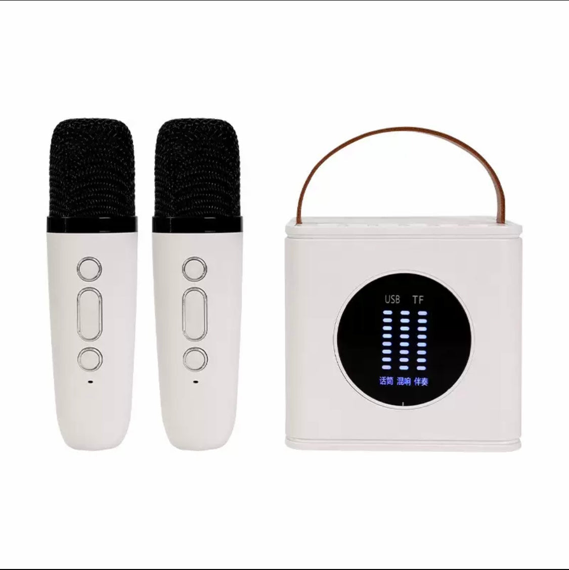 Dual-Speaker Microphone Speaker