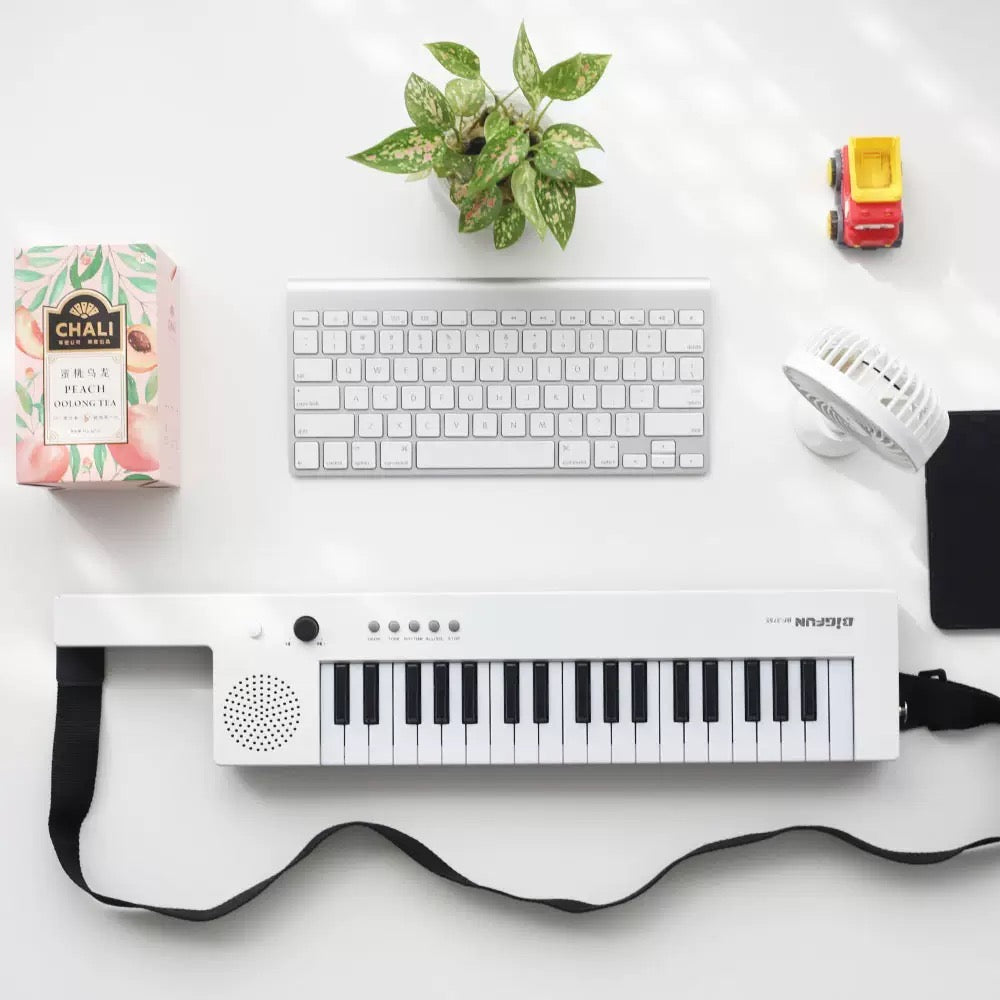 Portable Electronic Keyboard with Microphone - Children's Musical Instrument - Plastic Electronic Keyboard