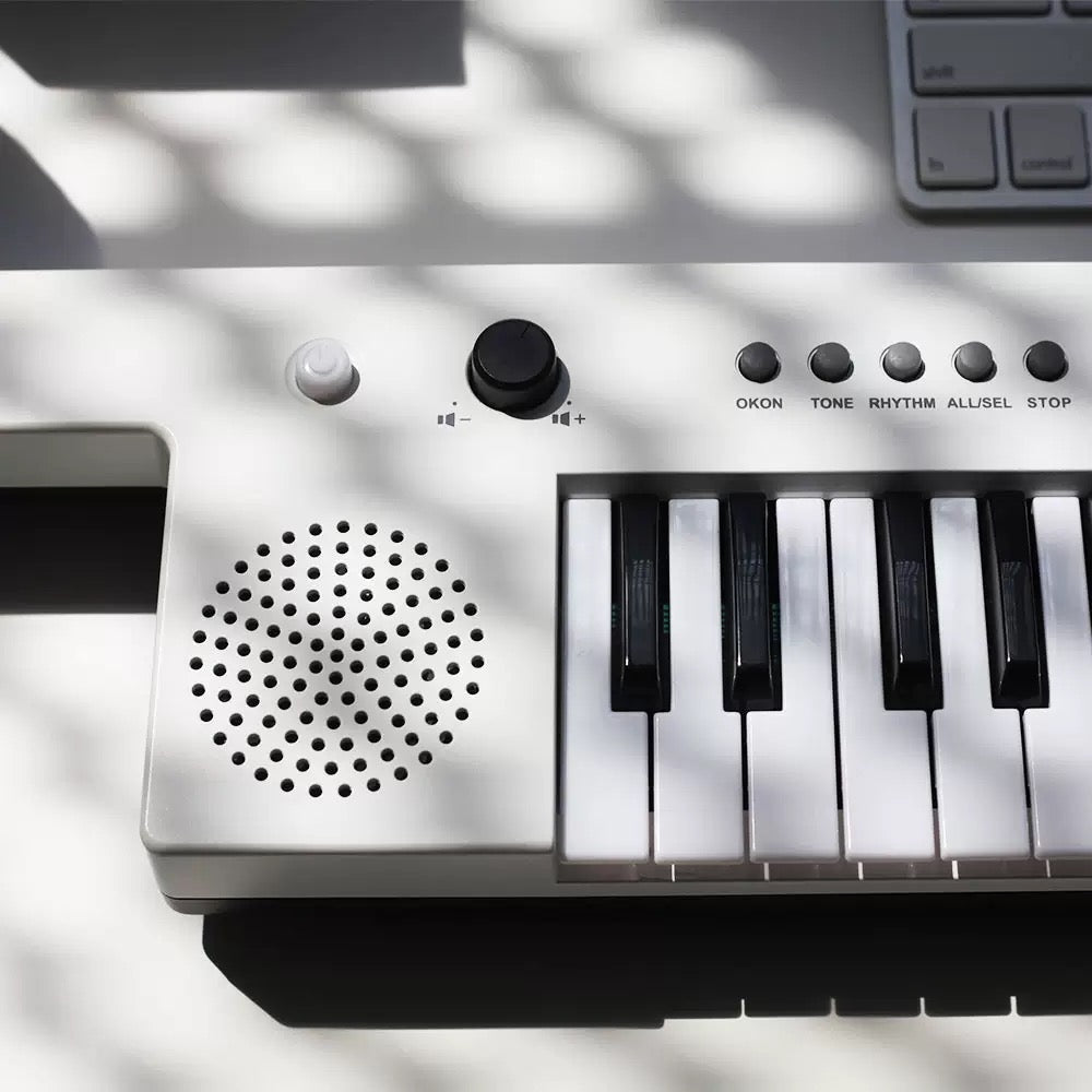 Portable Electronic Keyboard with Microphone - Children's Musical Instrument - Plastic Electronic Keyboard