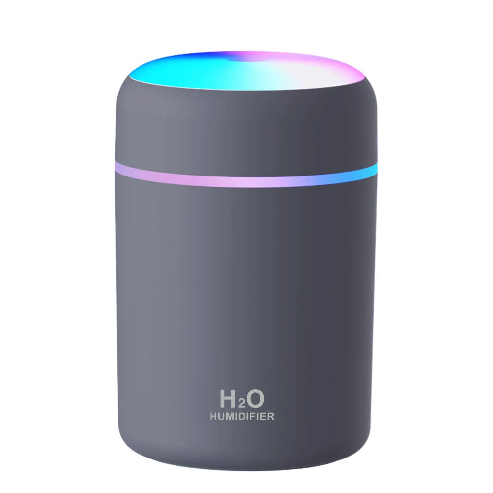 H2O Desktop Humidifier