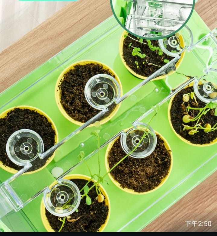 Sunroom Planting Growing Vegetables Toy Science Experiments Potted Handicraft DIY Materials