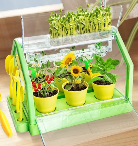Sunroom Planting Growing Vegetables Toy Science Experiments Potted Handicraft DIY Materials