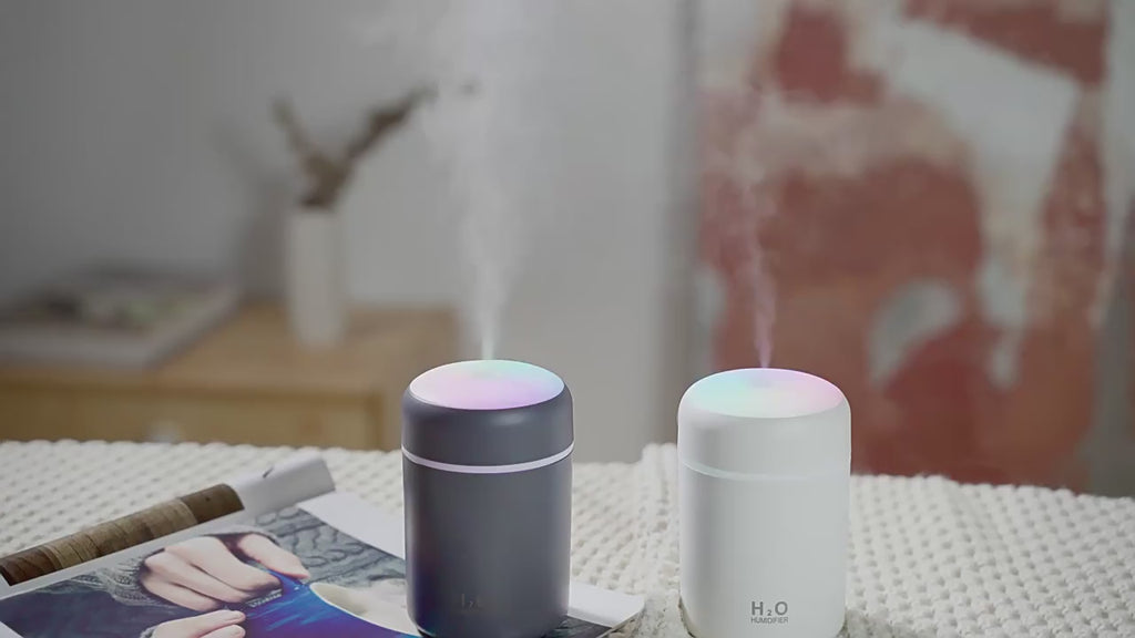 H2O Desktop Humidifier